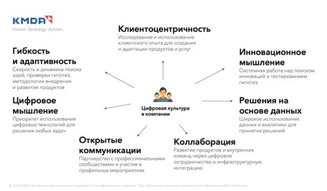 Основные принципы функционирования центра цифровой компетенции