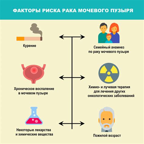 Основные способы лечения простуды мочевого пузыря у щенка