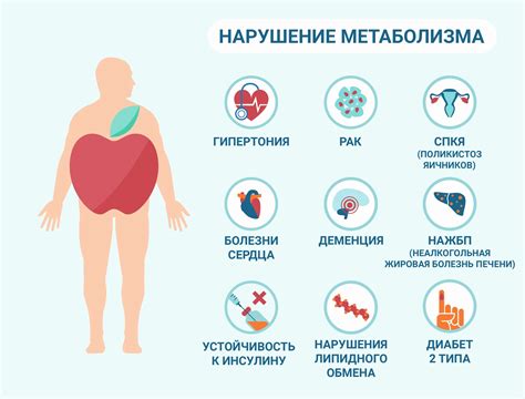 Основные факторы, влияющие на нарушение обмена веществ у мужчин