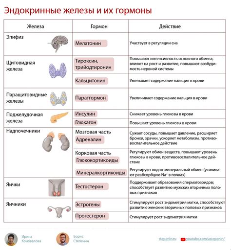 Основные элементы гац и их функции