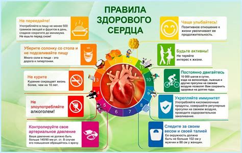 Основы здорового образа жизни: практические рекомендации для гармонии и благополучия