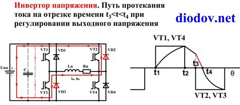 Основы и преимущества работы блиц крика