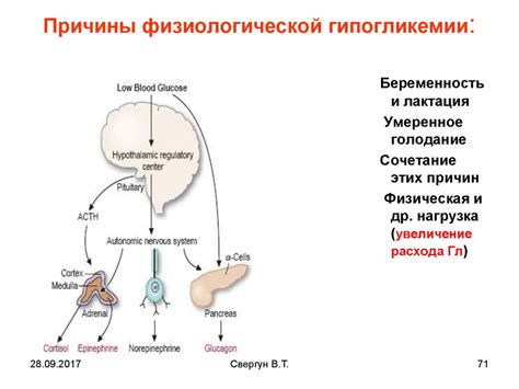 Основы и принципы регуляции уровня глюкозы в организме