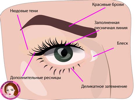 Основы нанесения теней на веко: советы и методы