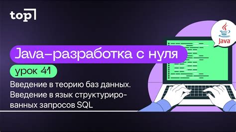 Основы работы с функцией COUNT в языке структурированных запросов - SQL