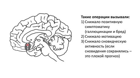 Основы толкования сновидений