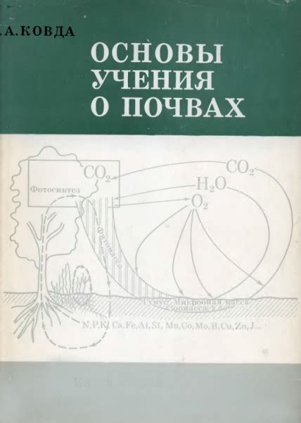 Основы учения о музыке, которые важно знать