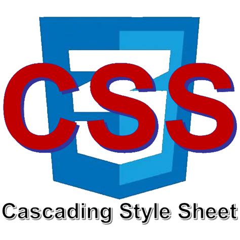 Основы CSS: введение в стилизацию веб-страниц