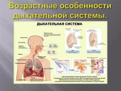 Особенности и принцип работы прозрачной кнопки