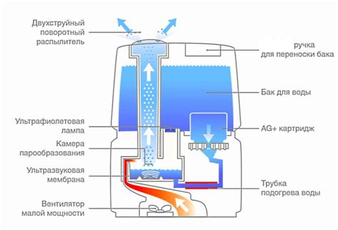 Особенности и принцип работы шепота в системе Ксета