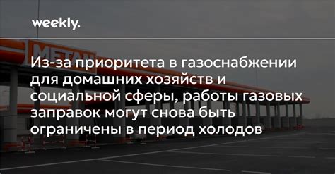 Особенности поведения и активности в период холодов