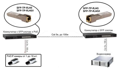 Особенности подключения SFP модуля в различных типах сетей