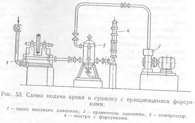 Особенности процесса высушивания плодов при помощи электрической сушилки