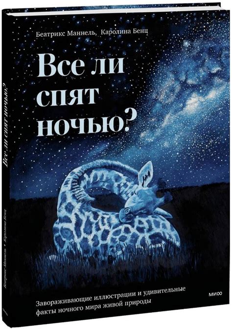 Особое значение сновидений воскресенья: загадочные послания ночного мира