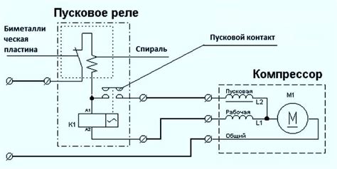 Осуществите повторную установку и корректное подключение холодильника