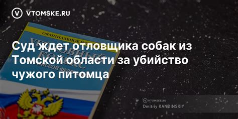 Ответственность за находку чужого питомца в проживании