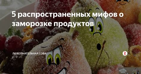 Ответы на популярные вопросы о заморозке продуктов в холодильнике