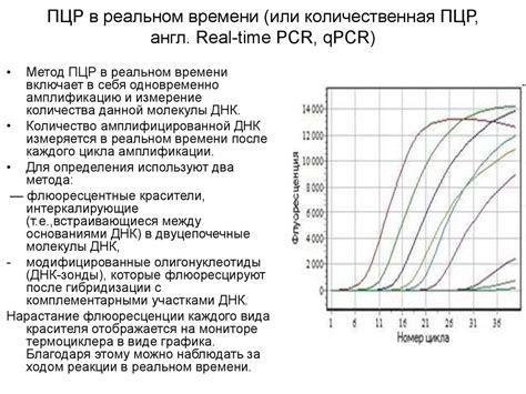 Отличия ПЦР в реальном времени от обычной ПЦР