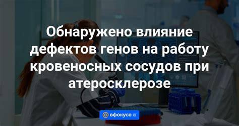 Отрицательное влияние инфекции на функционирование кровеносных сосудов