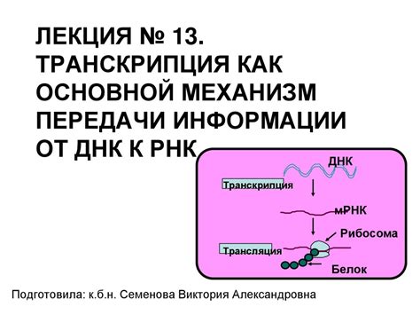 От звукового сигнала до передачи информации: механизм работы микронаушника