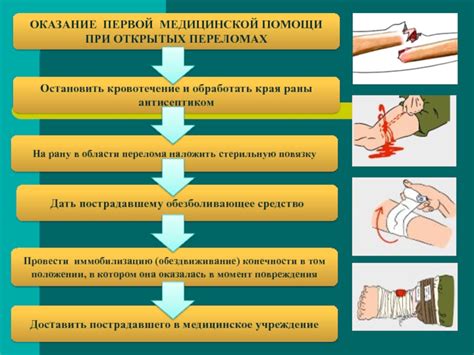 Оценка состояния и предоставление неотложной помощи при травмах после атаки другой собаки