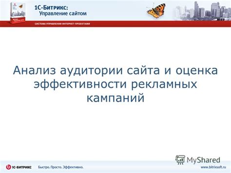 Оценка эффективности рекламных кампаний на основе полного охвата: ключевой фактор успеха