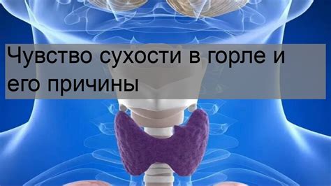 Ощущение сухости в горле: что это такое и как оно проявляется