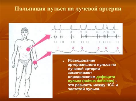 Пальпация пульса: распознавание артериального пульса как метод оценки состояния