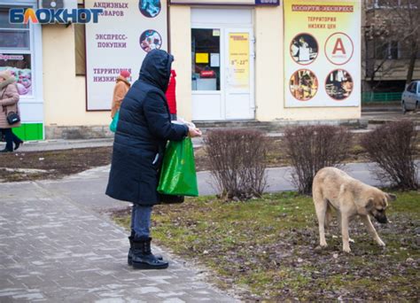 Первый шаг к решению проблемы: проверка аккумулятора и зарядного устройства