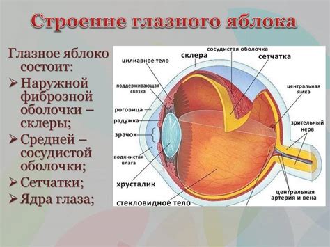 Переутомление глаза и его последствия