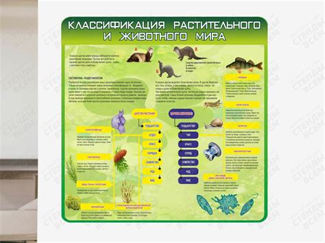 Печальные последствия исчезновения растительного покрова для живого мира