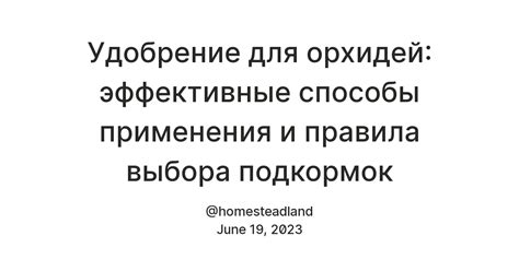 Питание кожи: эффективные способы выбора и применения питательных масок и кремов