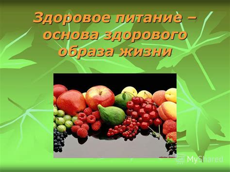 Питание - основа здорового образа существования