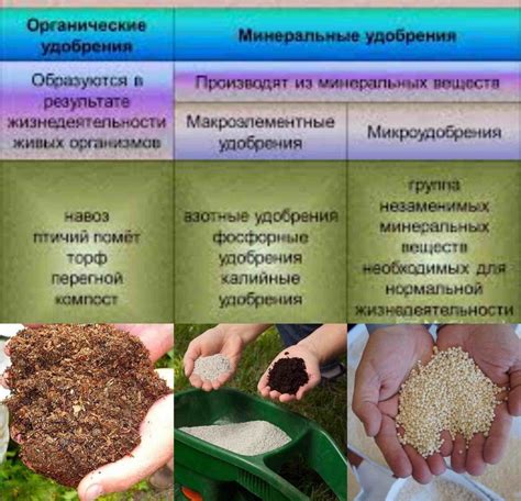 Плодородность почвы и добавление удобрений