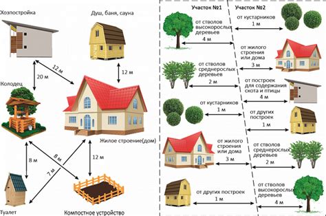 Площадь высадки после свеклы: ключевые аспекты выбора