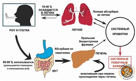 Побочные эффекты глюкокортикостероидов: что следует знать