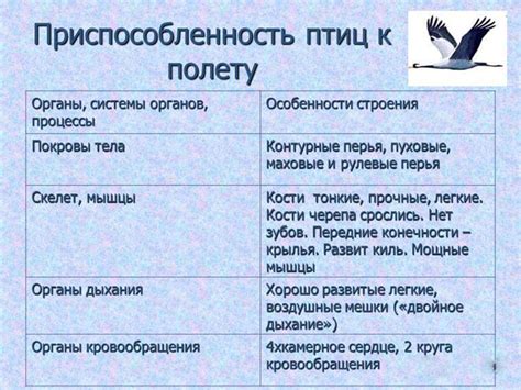 Поведенческие особенности воробья: пристрастие к прямолинейному полету