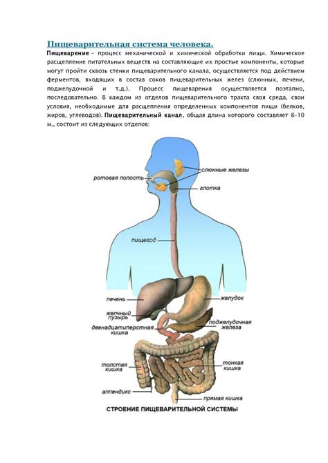 Повреждение пищеварительной системы