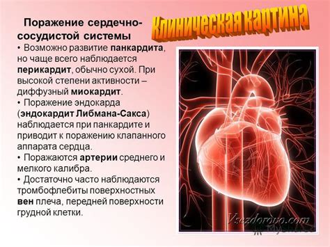 Повышение активности сердечно-сосудистой системы при ощущении слабости и головокружения