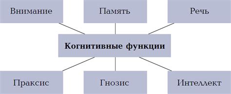 Повышение когнитивных функций и защита от неврологических заболеваний