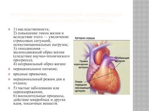 Повышение уровня риска возникновения заболеваний сердечно-сосудистой системы