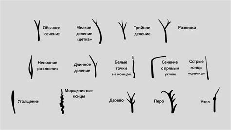 Повышенная ломкость и сечение кончиков волос