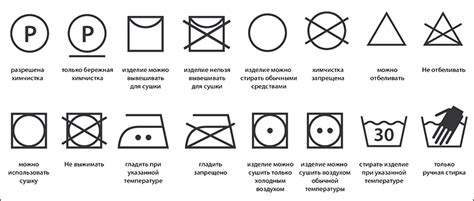 Подведение итогов и рекомендации по уходу за растением из материала фома