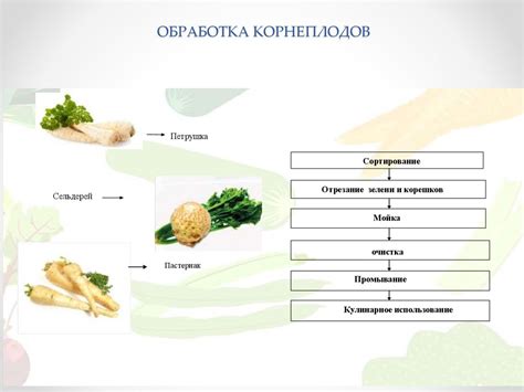 Подготовка овощей и приготовление картошки