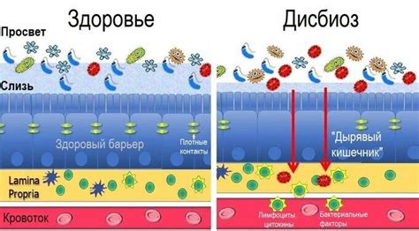 Подключение каталогов и рейтинговых систем: эффективный метод повышения видимости вашего сайта