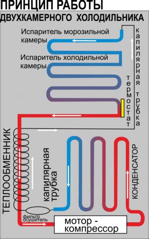 Подробное описание процесса работы устройства холодильной камеры