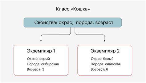 Познакомьтесь с основными понятиями