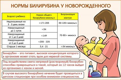 Показатели низкого уровня общего билирубина у малыша и их связь с состоянием здоровья