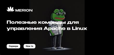 Полезные команды для управления списком разрешенных игроков в виртуальном мире