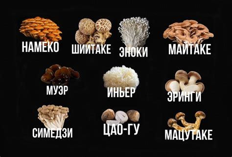 Полезные продукты, которые придают каше незабываемый вкус и обогащают ее питательными веществами